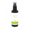 Allgäuer Blütenessenzen Holunder 50ml mit Blütenkarte