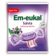 Dr. C. SOLDAN Em-eukal® Salvia, zuckerfrei, 50g