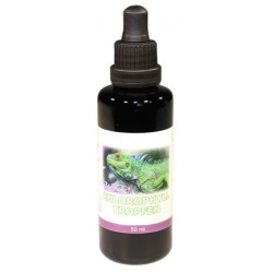 Chlorophyll Tropfen - 50 ml