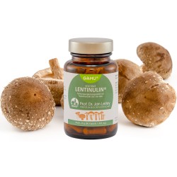 BIO Lentinulin®, 60 Kapseln Shiitake Pilzextrakt