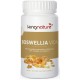 BOSWELLIA VIDA