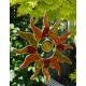 SUNCATCHER SONNE SPIRALE FIBERGLAS ROT 25CM