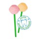 Birkenzucker Lolli Toothpop Ananas - Dauerlutscher mit 15 Vitaminen & Spurenelementen