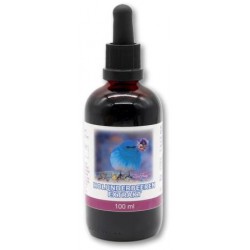 Holunderbeerenextrakt, 100ml