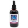 Holunderbeerenextrakt, 100ml