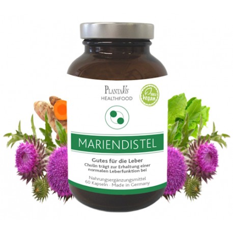 Mariendistel Kapseln