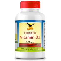 Vitamin B3 Niacinamid 500mg, 120 veg. Kaps