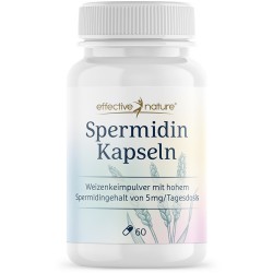 Spermidin - Hochdosierter Weizenkeimextrakt