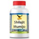 Shilajit Mumijo Kapseln, 100 Stück