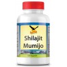 Shilajit Mumijo Kapseln - 100 Kapseln, GET UP