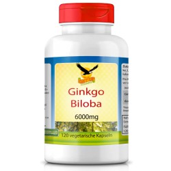 Ginkgo Biloba 6.000mg, 120 Kapseln - GET UP!