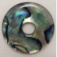 060 Paua Shell 1