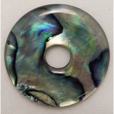 060 Paua Shell 1