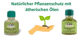 Ätherische Öle im Garten – Aus der Natur für die Natur